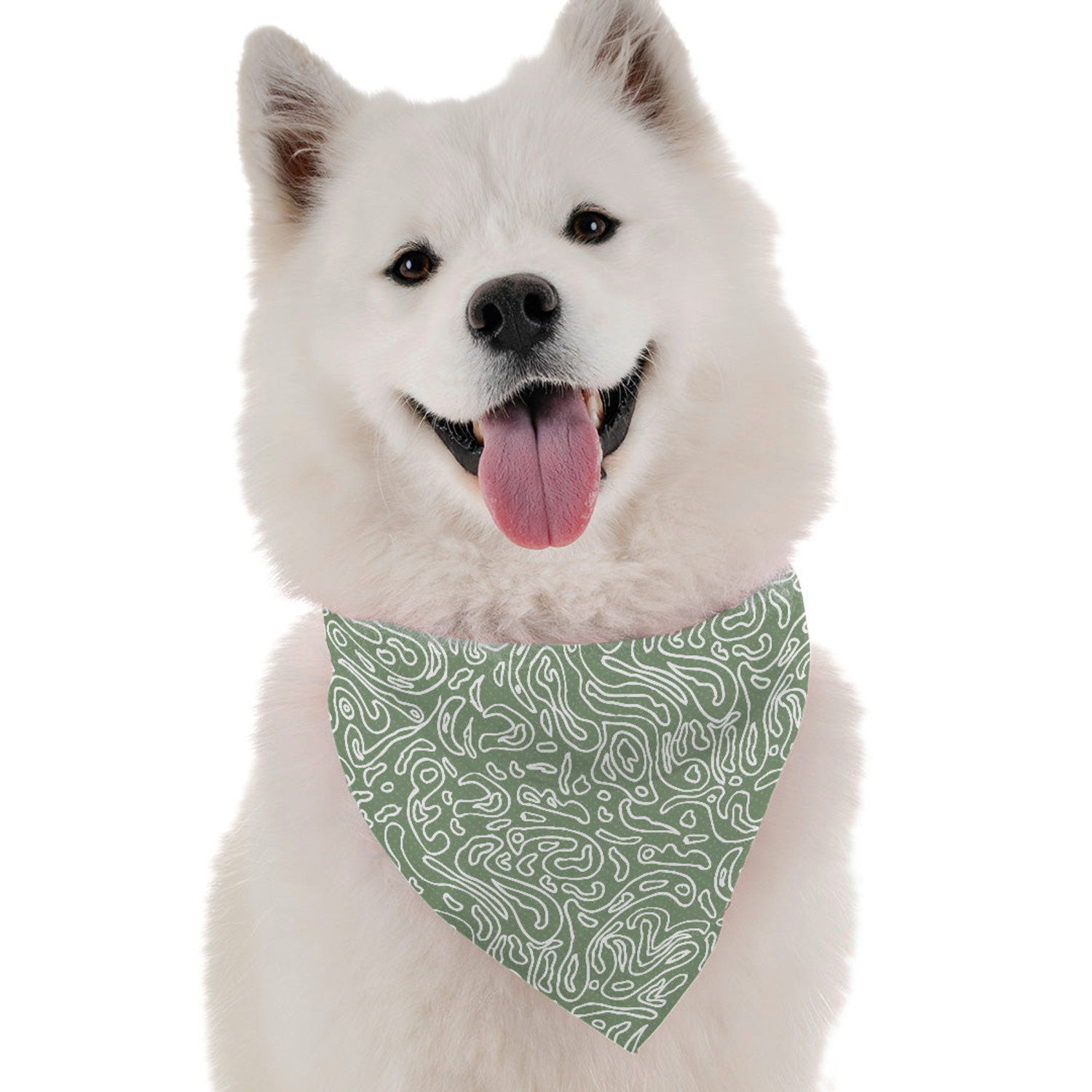 Bandoggies Talullah Dog Bandanas