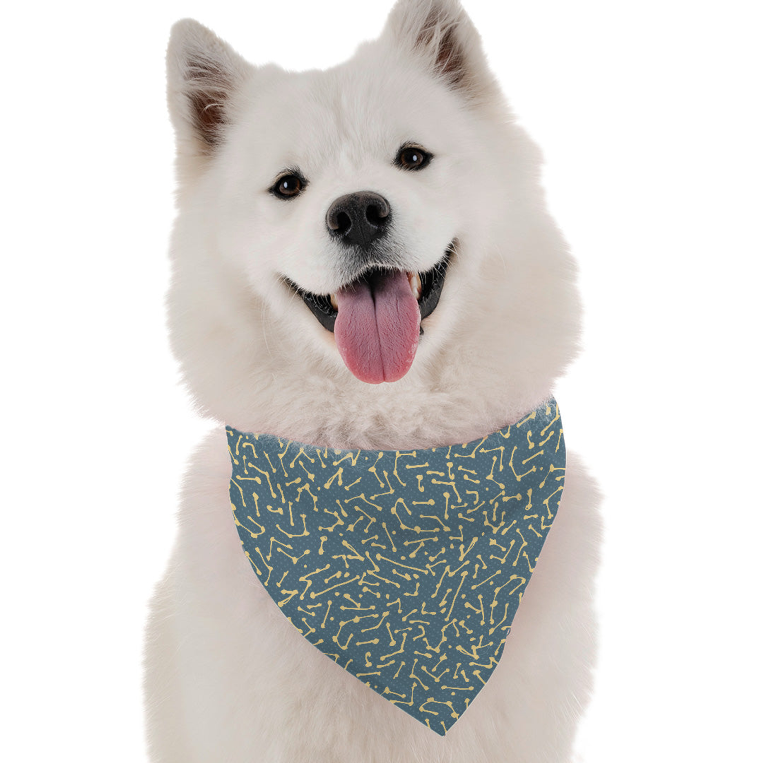 Bandoggies Constellate Dog Bandanas