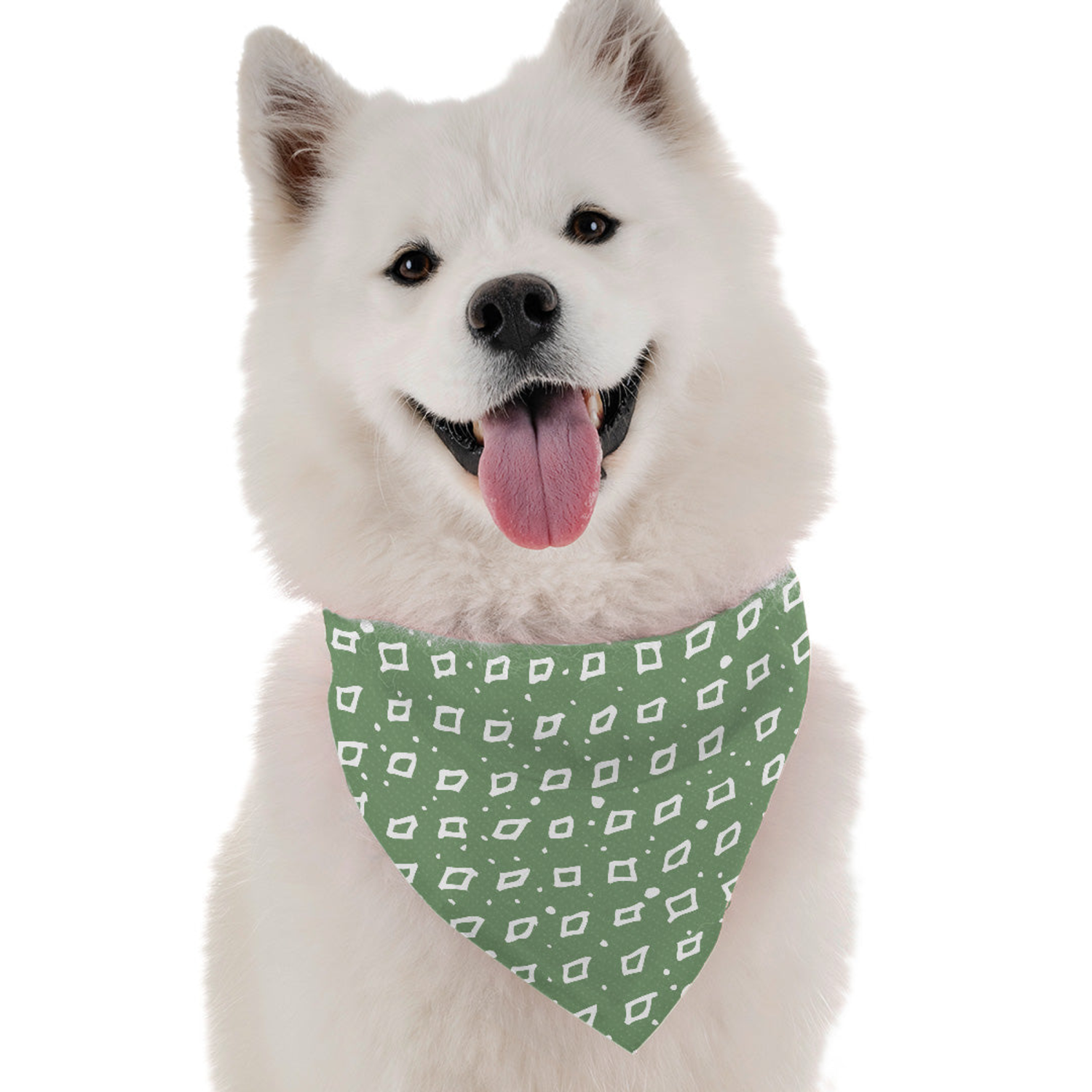 Bandoggies Lyric Dog Bandanas