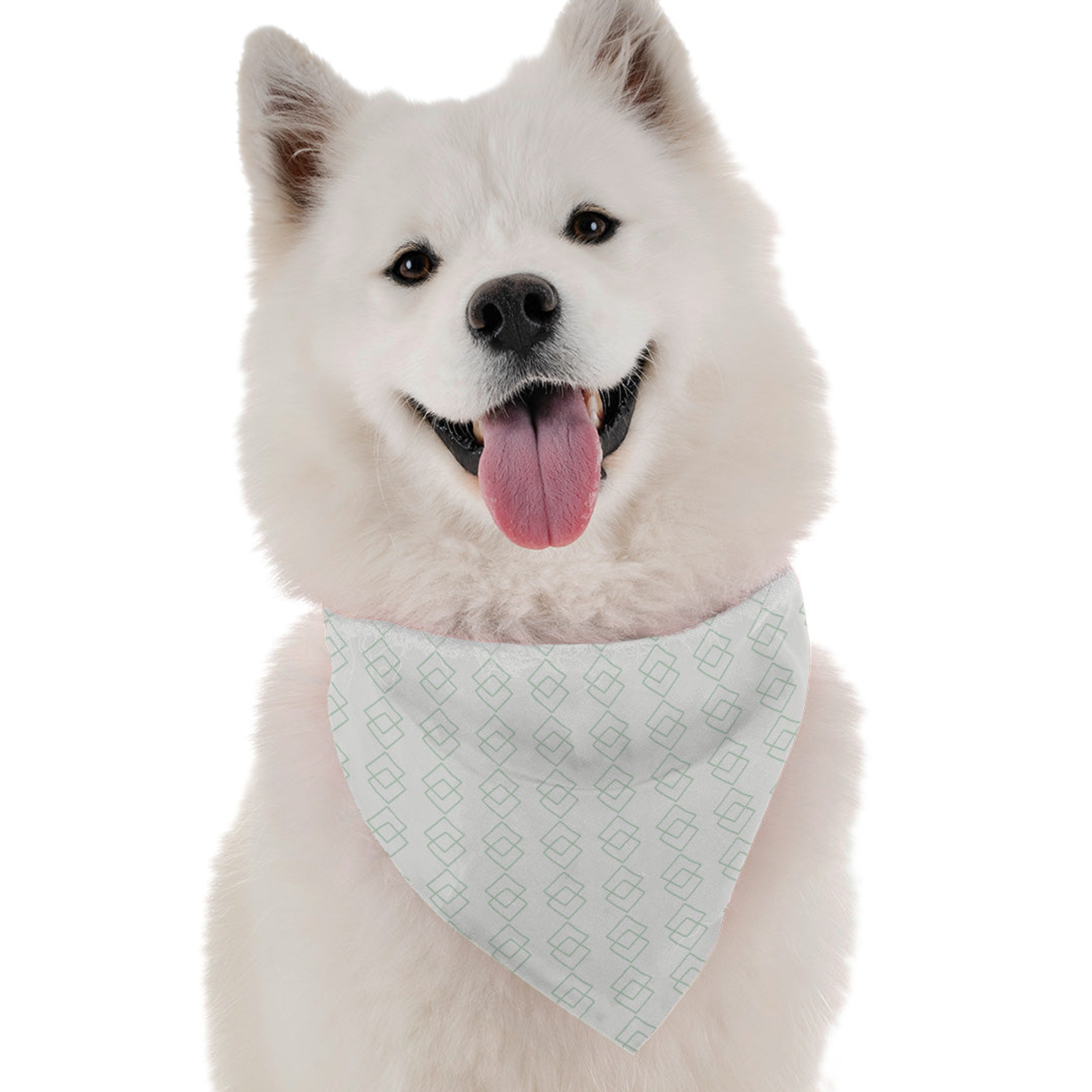 Bandoggies Athena Dog Bandanas