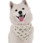 Bandoggies Peri Dog Bandanas