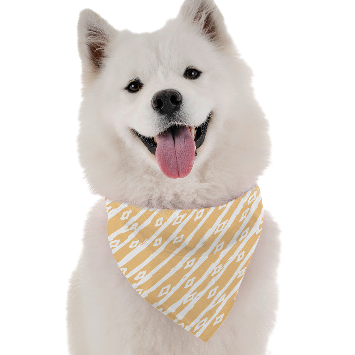 Bandoggies June Dog Bandanas