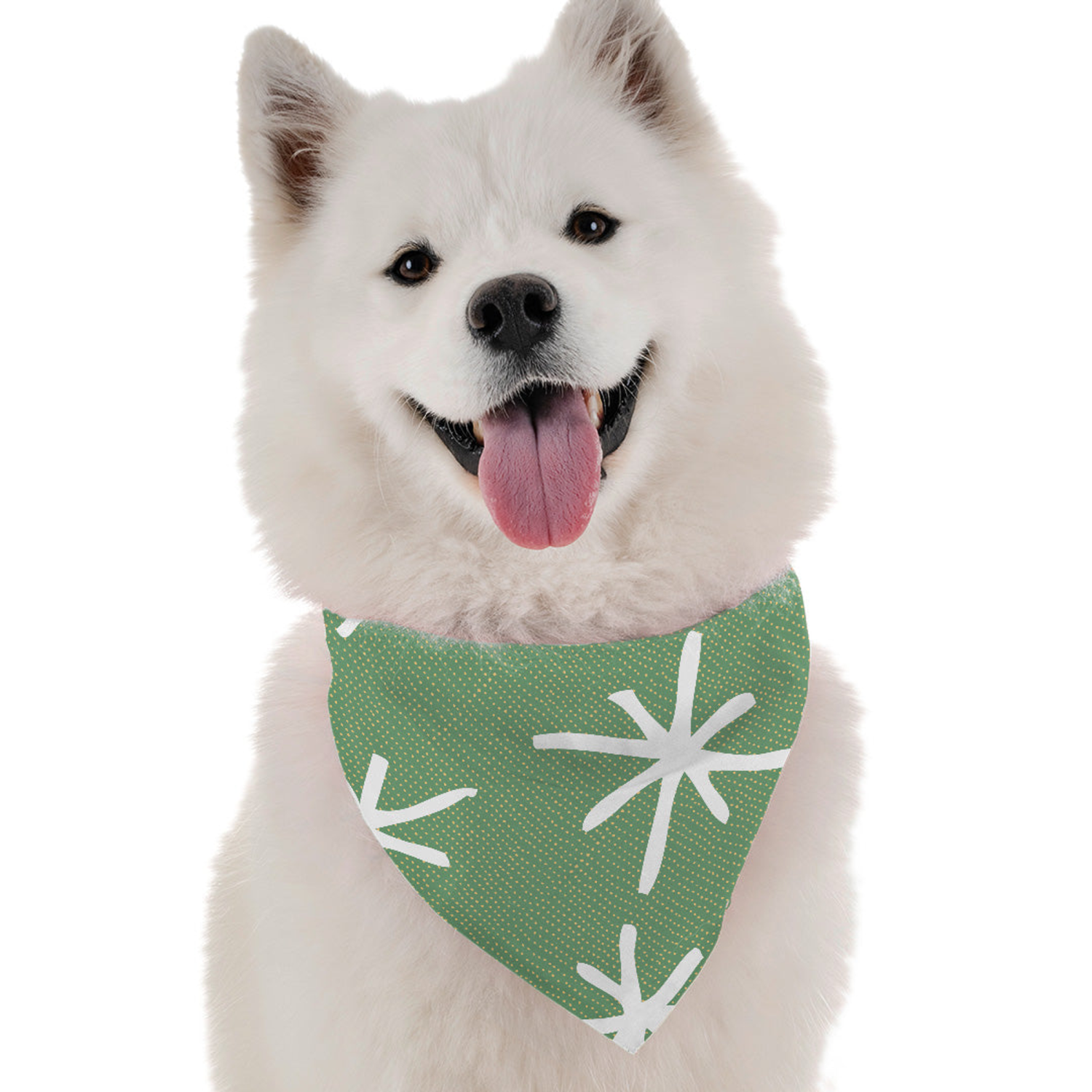Bandoggies Dara Dog Bandanas