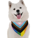 Bandoggies Dog Bandanas