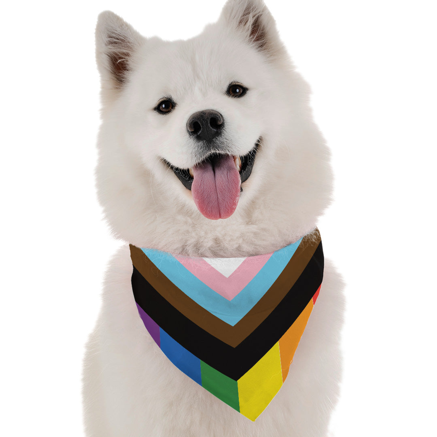 Bandoggies Progress Pride Dog Bandanas