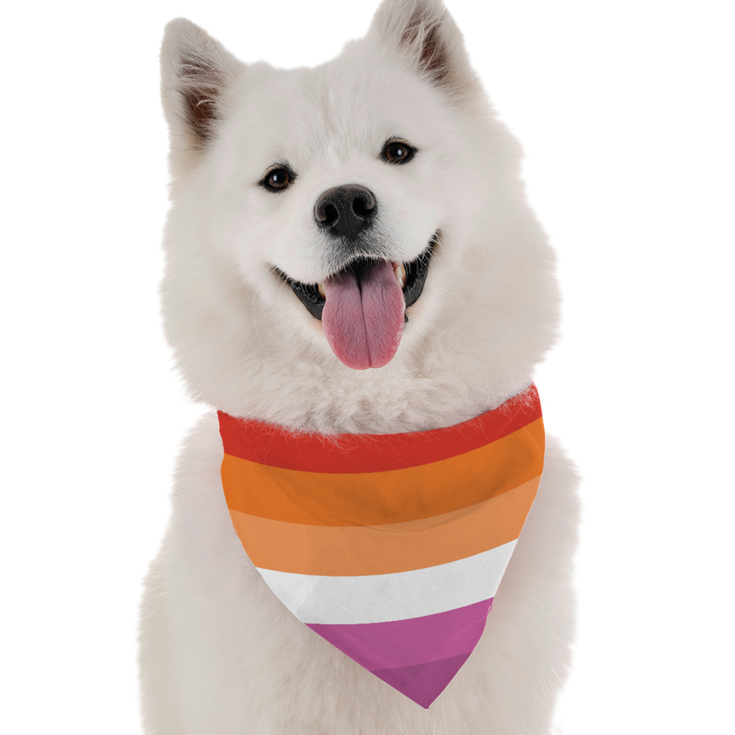 Bandoggies Lesbian Pride Dog Bandanas
