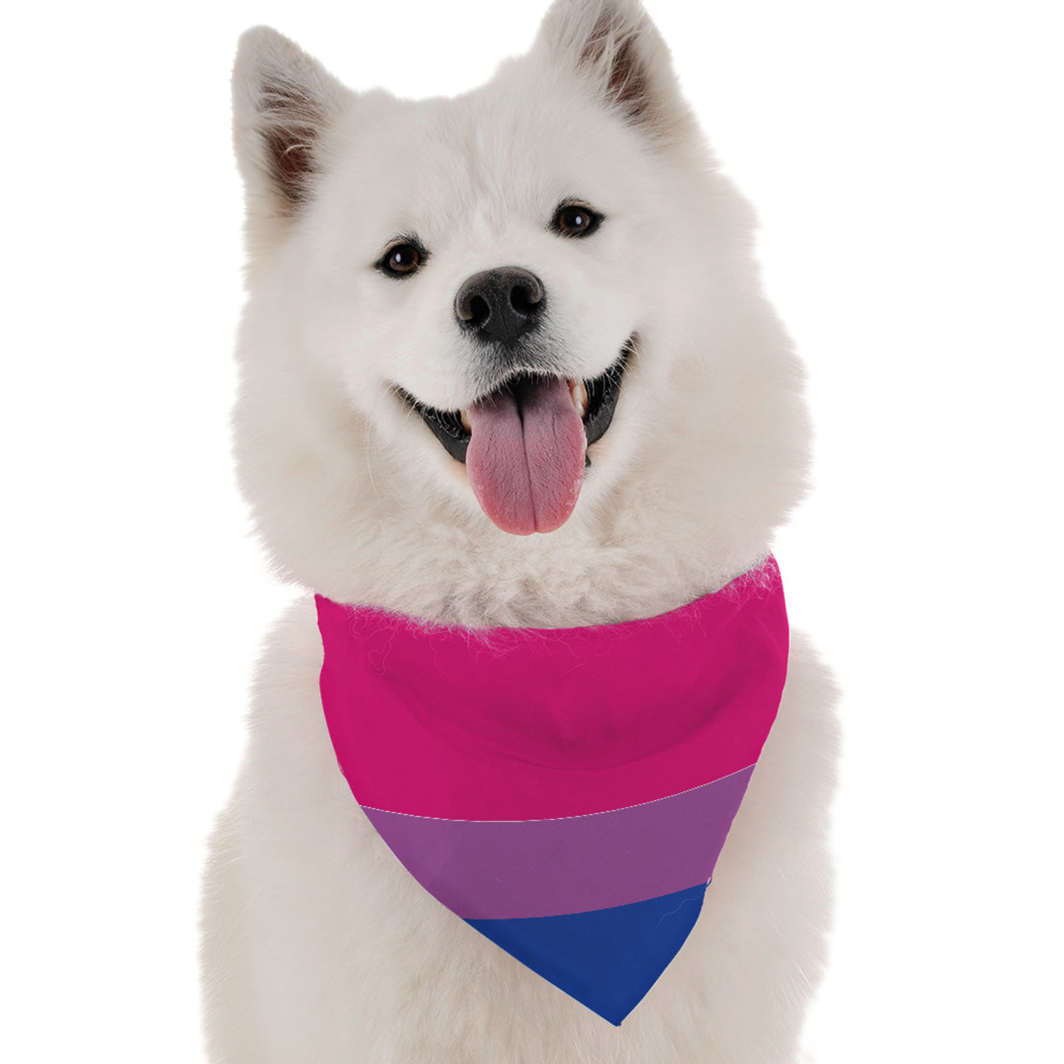 Bandoggies Bi Pride Dog Bandanas
