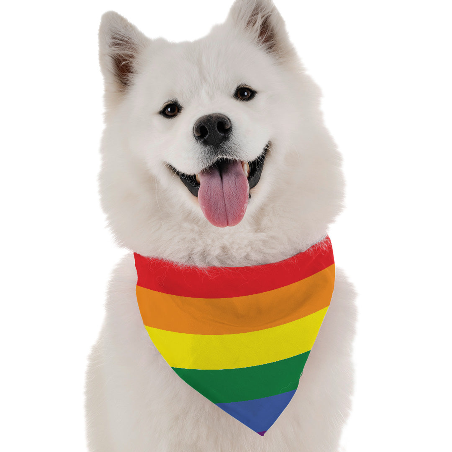 Bandoggies Pride Dog Bandanas