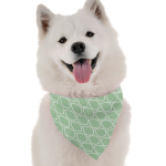 Bandoggies Mint Dog Bandanas