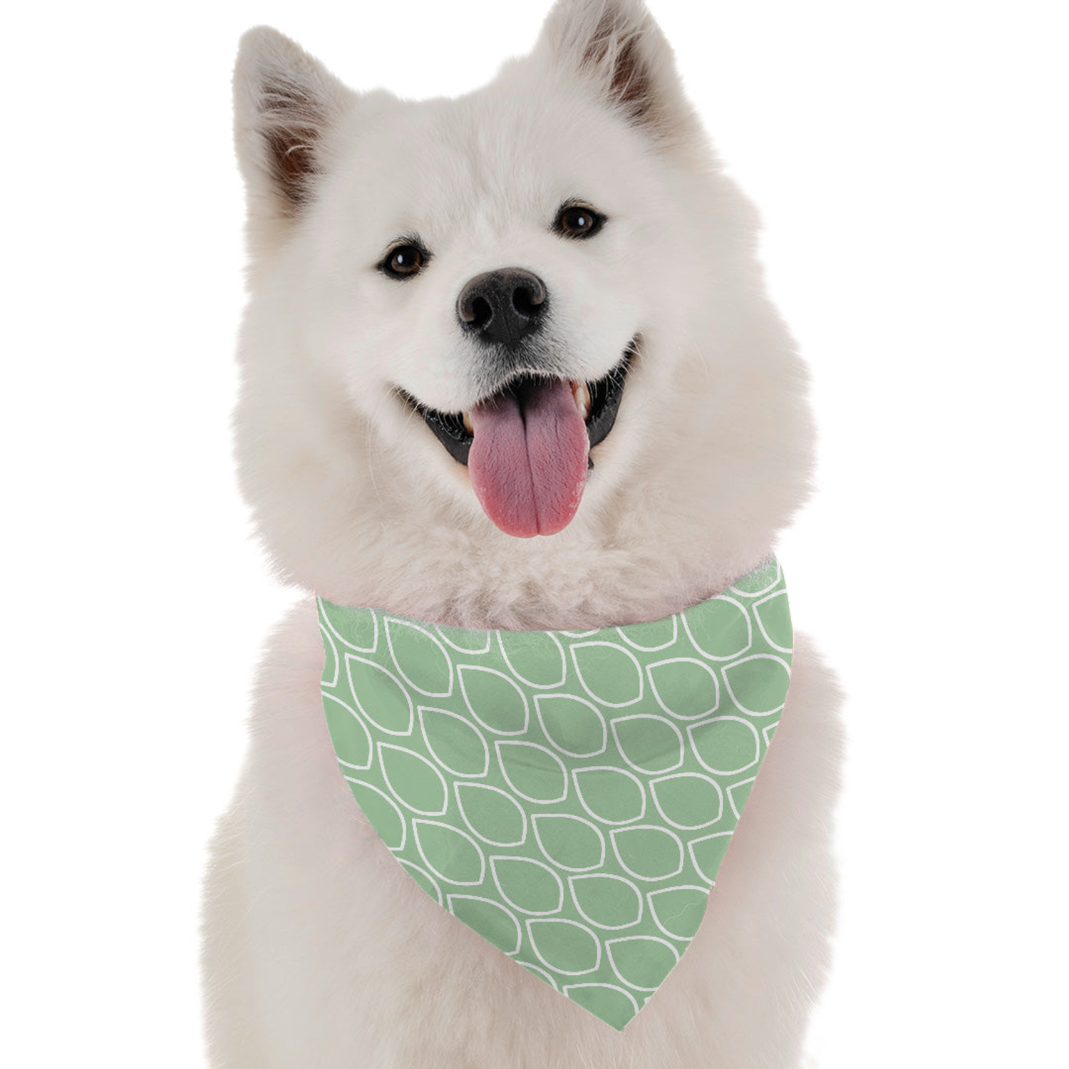 Bandoggies Mint Dog Bandanas