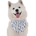 Bandoggies Dog Bandanas