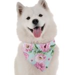 Bandoggies Dog Bandanas