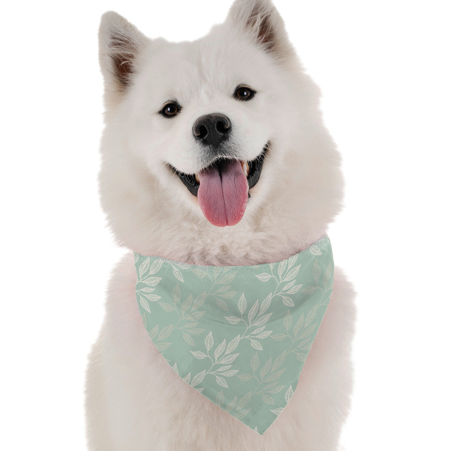 Bandoggies Argan Dog Bandanas