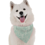 Bandoggies Argan Dog Bandanas