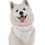 Bandoggies Willow Dog Bandanas