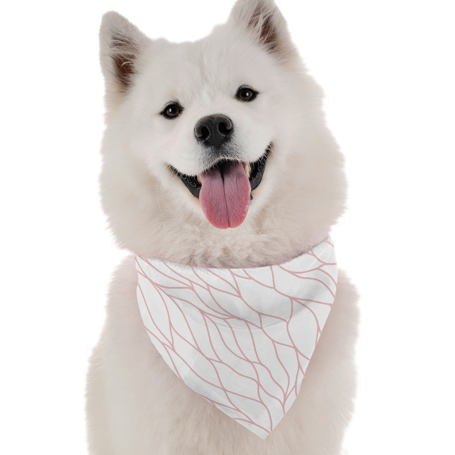 Bandoggies Willow Dog Bandanas