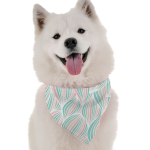 Bandoggies Dog Bandanas