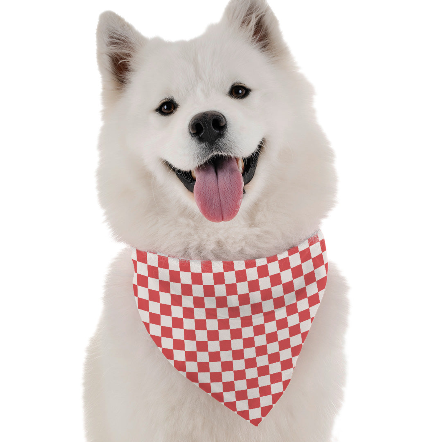 Bandoggies Picnic Dog Bandanas