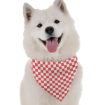 Bandoggies Picnic Dog Bandanas